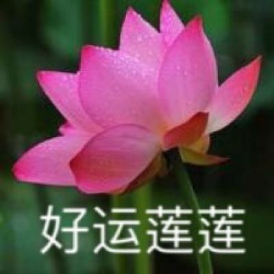 九游大圣驾到官方版下载